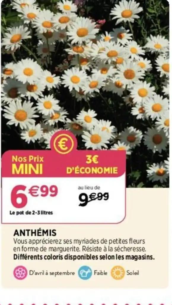 ANTHÉMIS