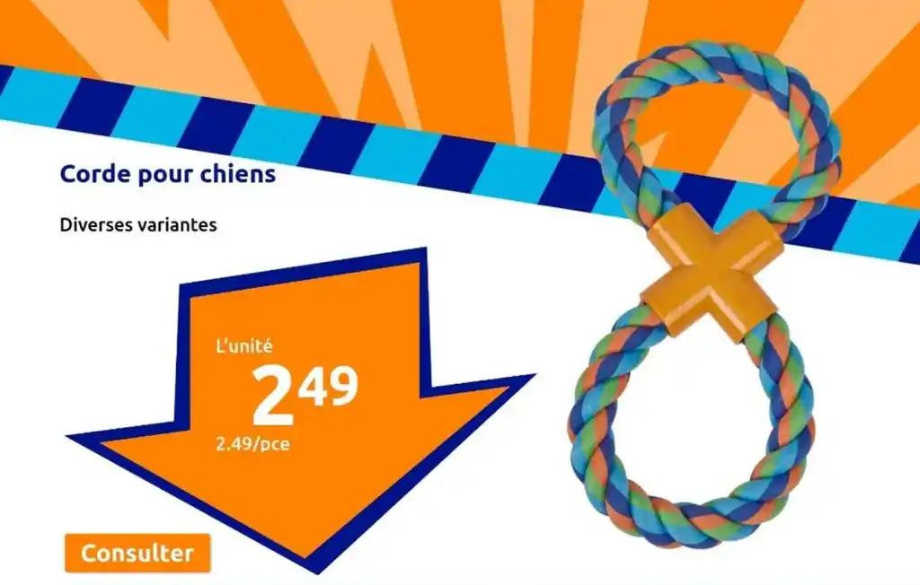 Corde pour chiens