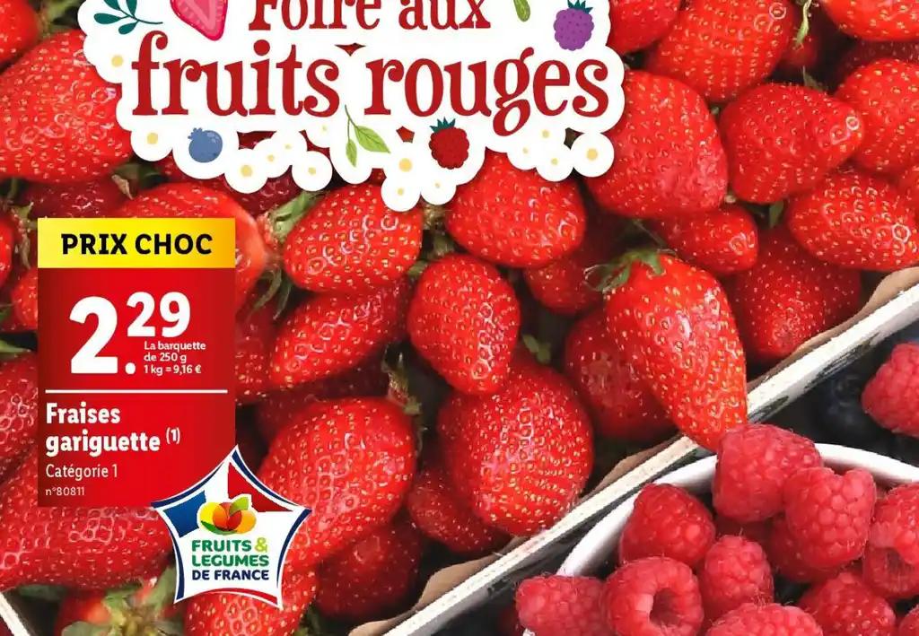 Fraises gariguette (1)