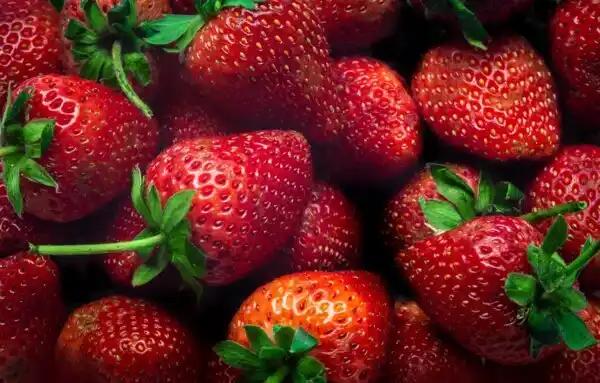 Fraises gariguette