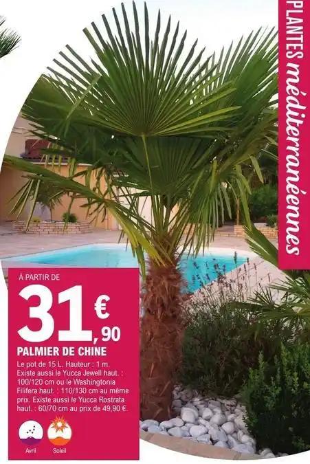 Plantes