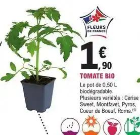 Plantes