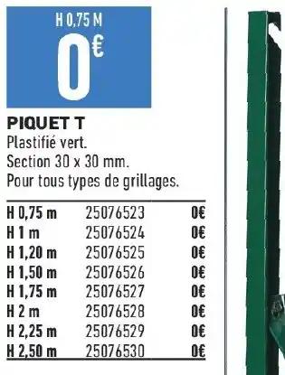PIQUET T