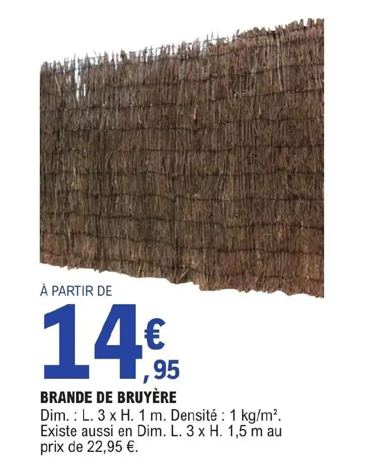 BRANDE DE BRUYÈRE