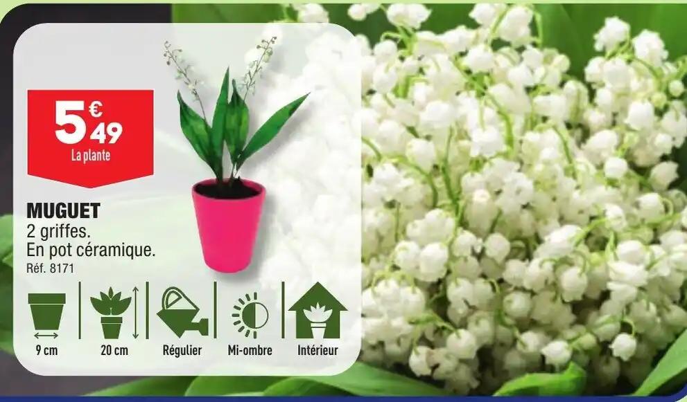 MUGUET