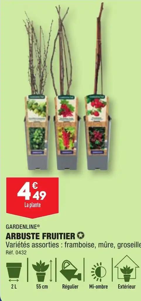 ARBUSTE FRUITIER ✪