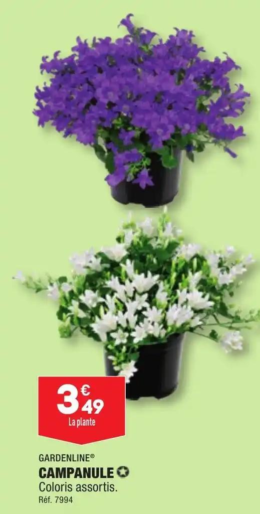 GARDENLINE® CAMPANULE✪