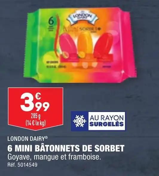 6 MINI BÂTONNETS DE SORBET