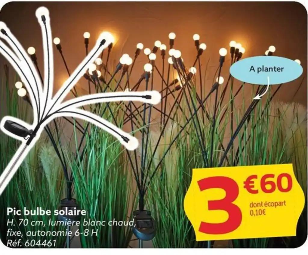Pic bulbe solaire