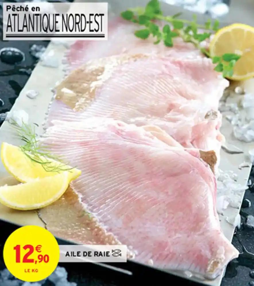 AILE DE RAIE