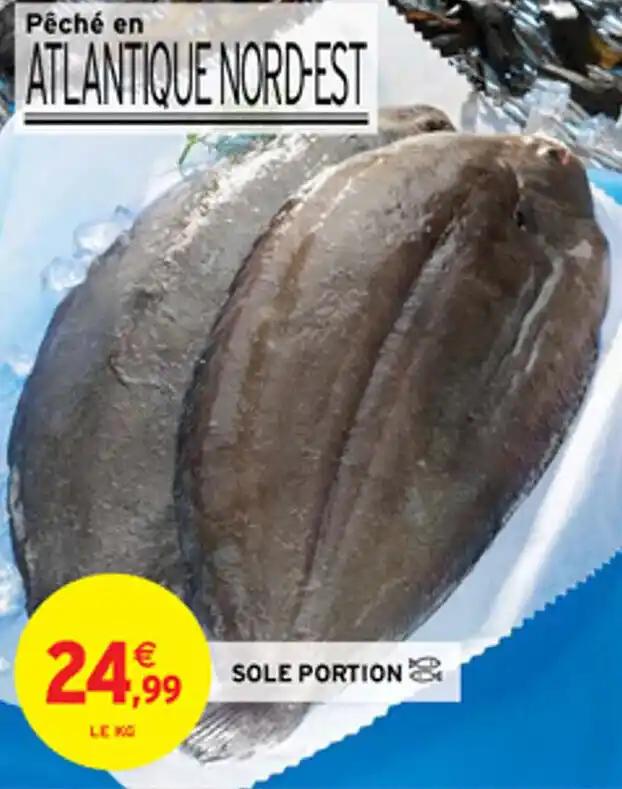 SOLE PORTION