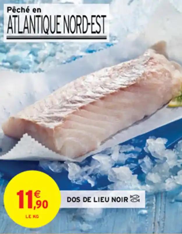 DOS DE LIEU NOIR