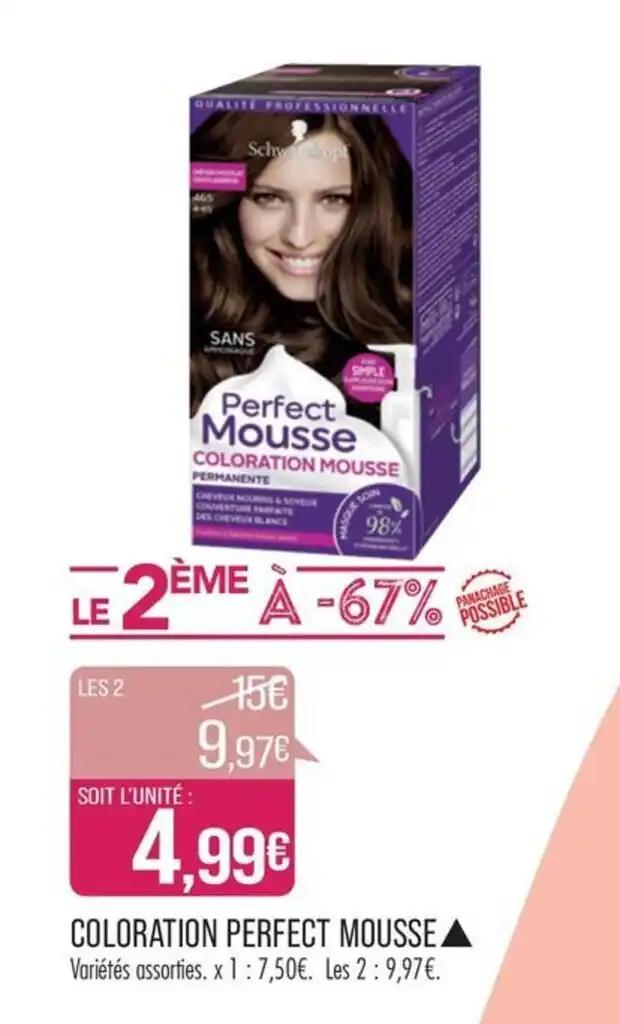 COLORATION PERFECT MOUSSE