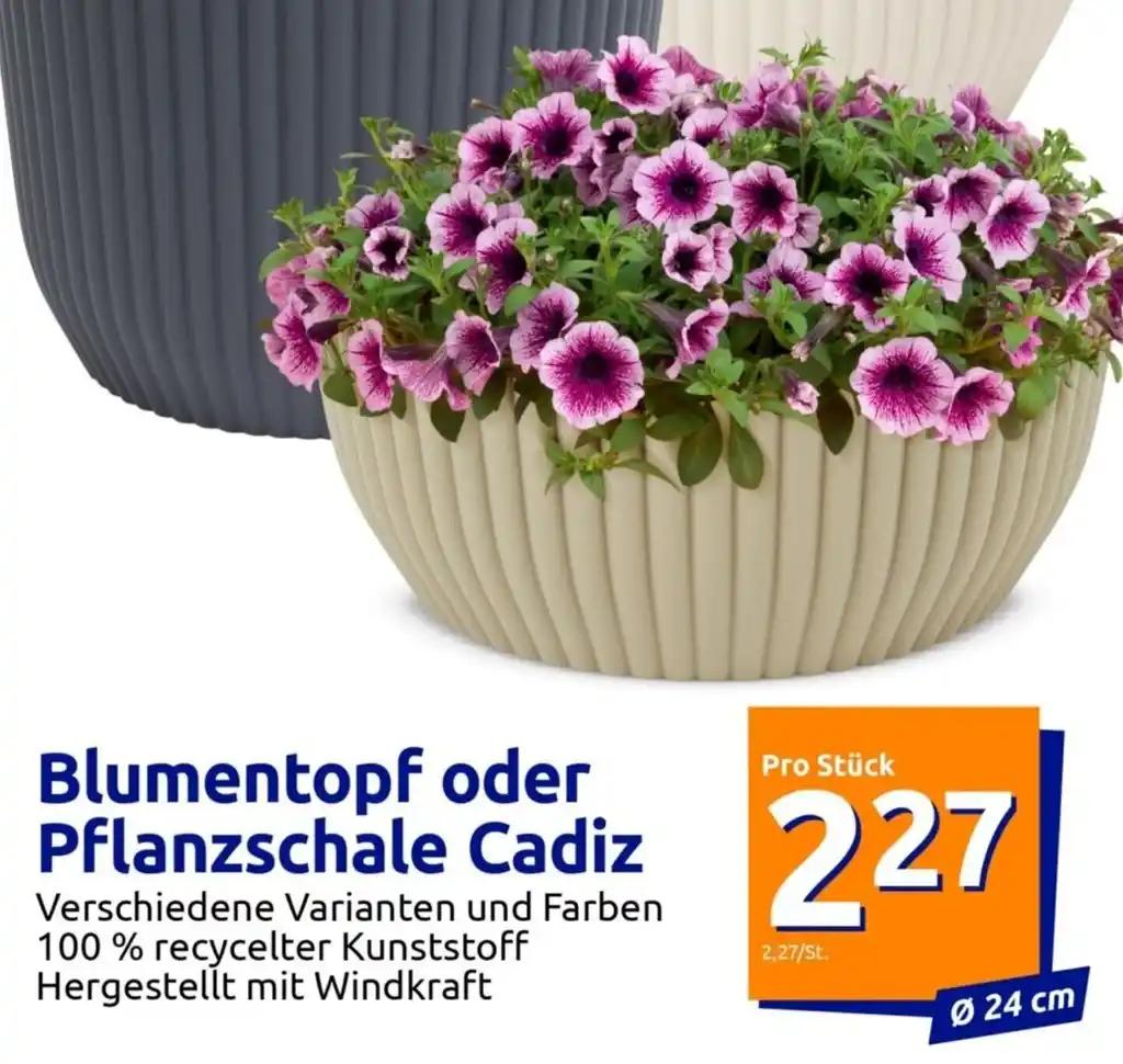 Pflanzschale Cadiz