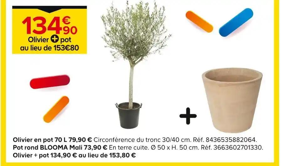 Olivier + pot