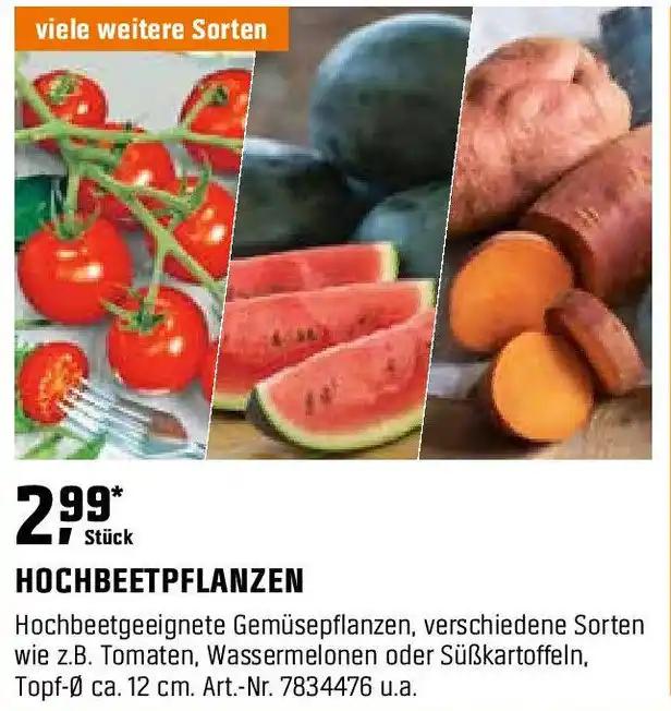 HOCHBEETPFLANZEN