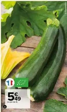Plants bio