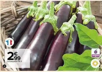 Plants de légumes