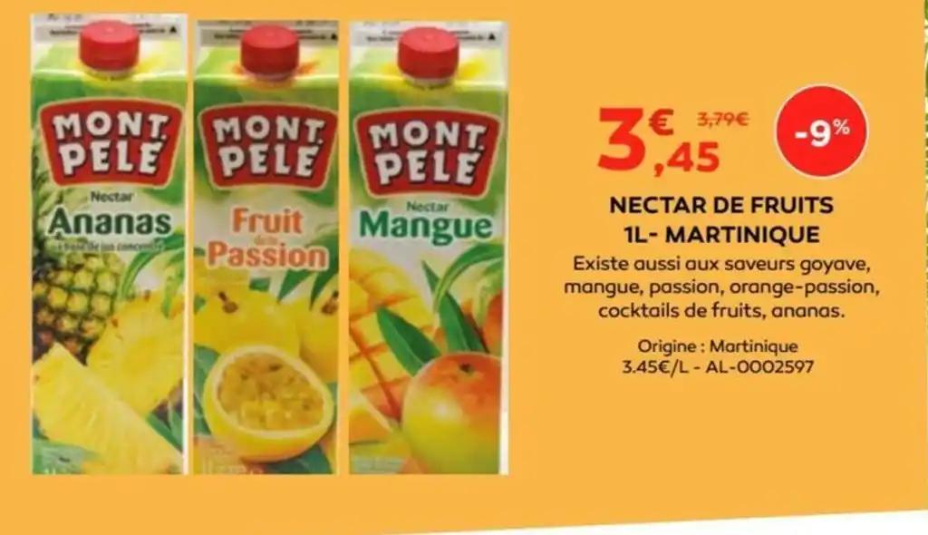 NECTAR DE FRUITS 1L- MARTINIQUE