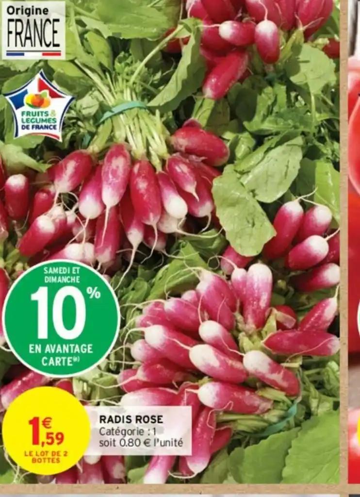 RADIS ROSE