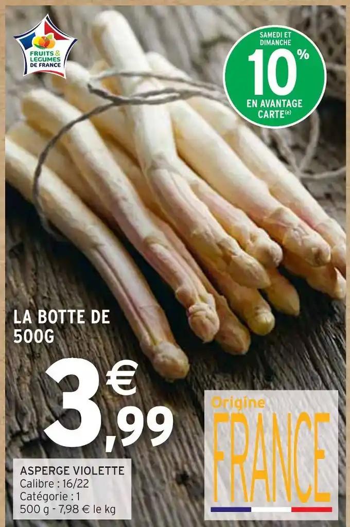 ASPERGE VIOLETTE