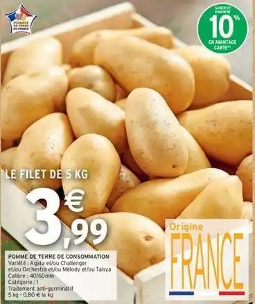 Pommes de terre
