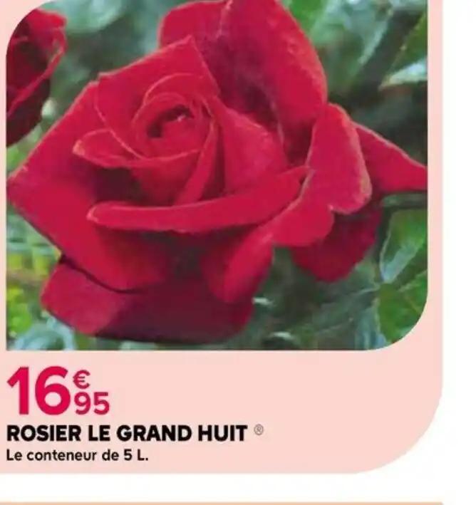 ROSIER LE GRAND HUIT