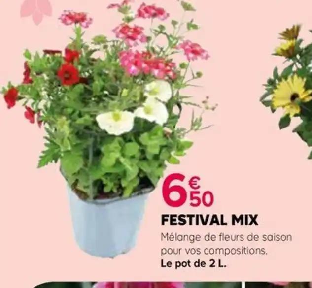 FESTIVAL MIX