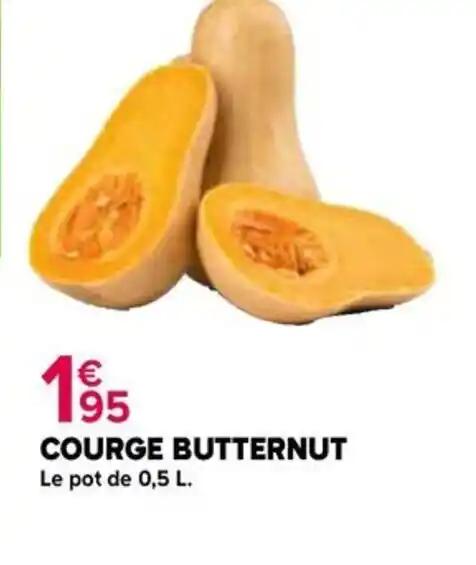 COURGE BUTTERNUT