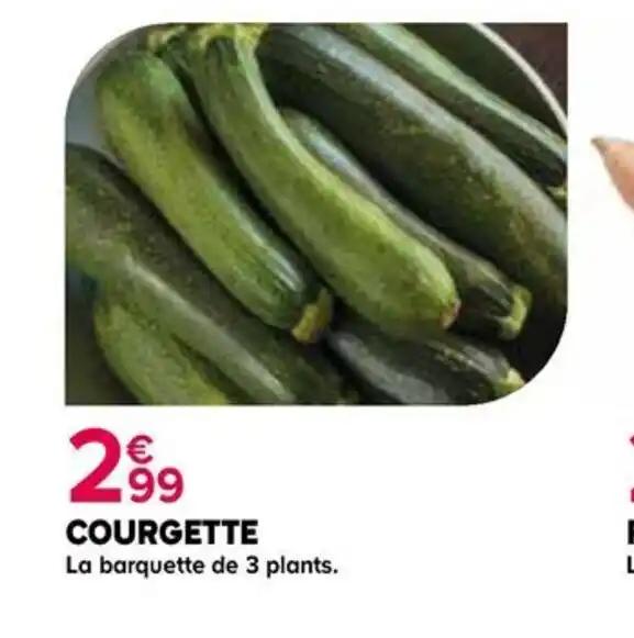 COURGETTE