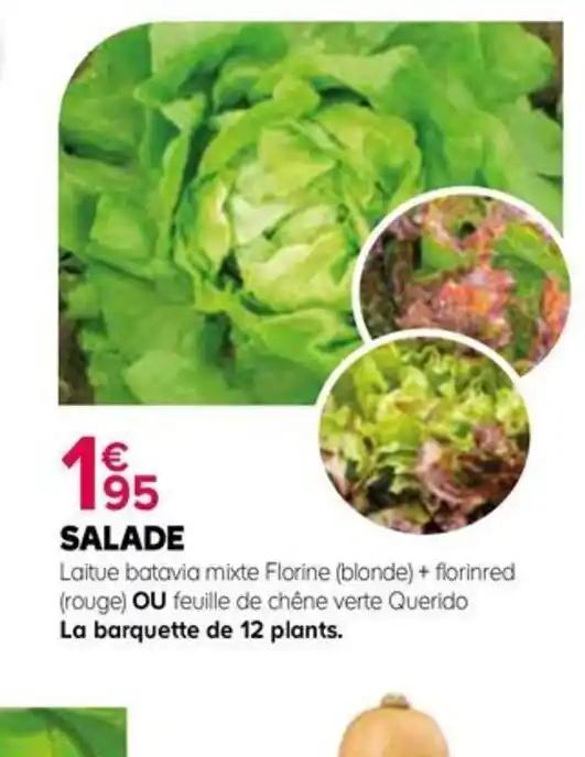 SALADE