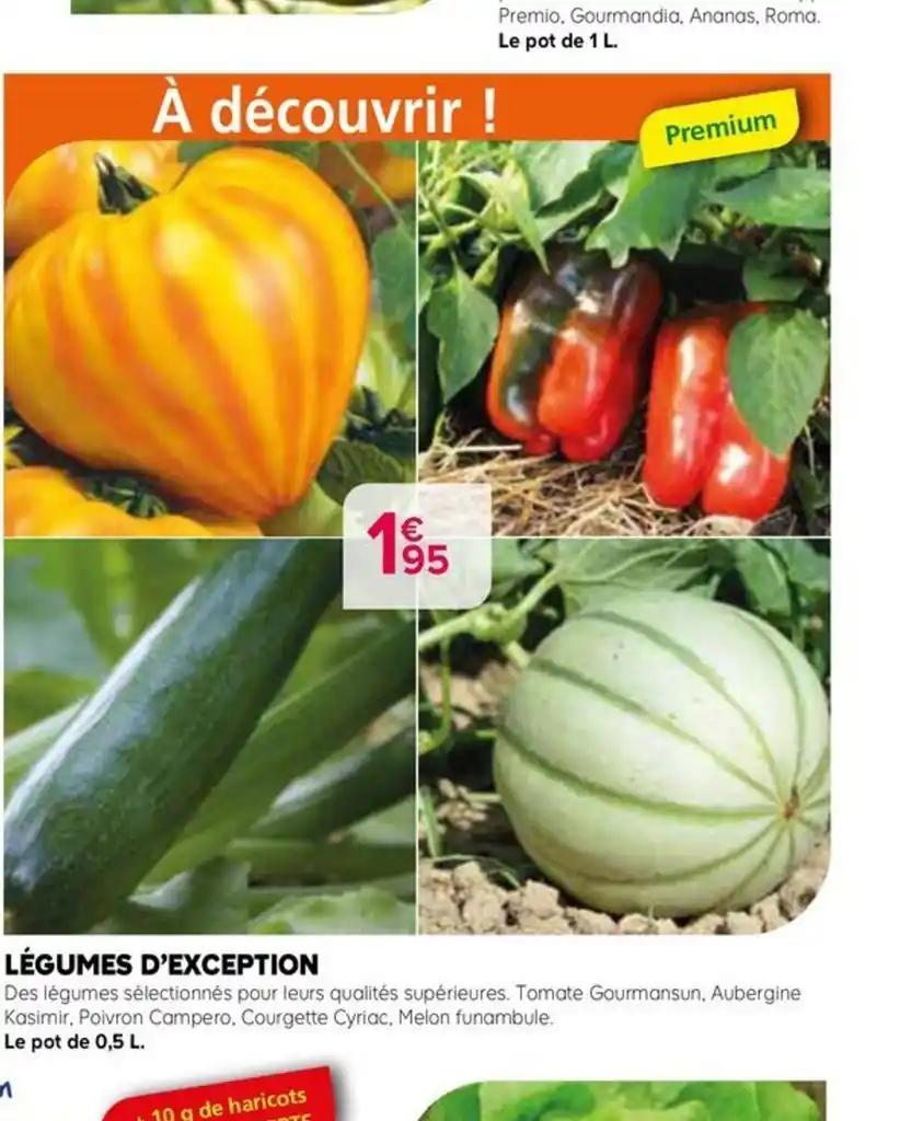 LÉGUMES D'EXCEPTION