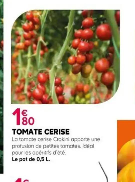 TOMATE CERISE