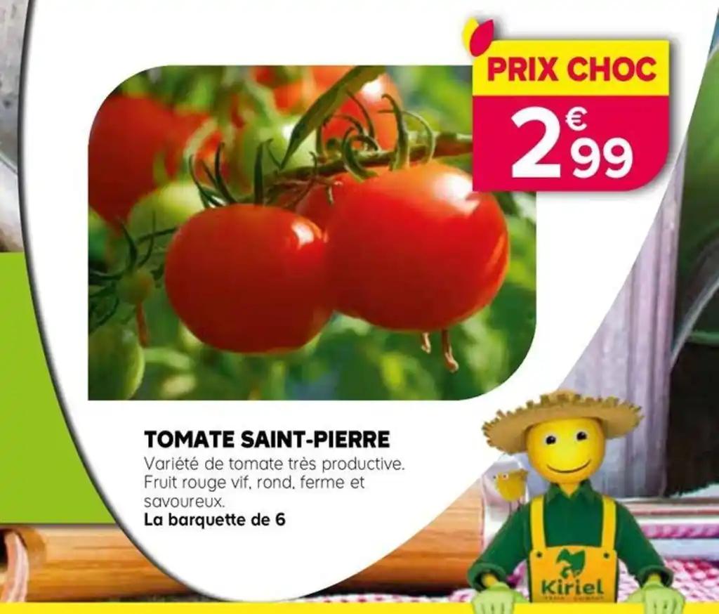 TOMATE SAINT-PIERRE