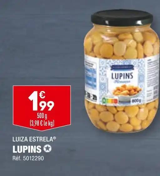 LUIZA ESTRELA LUPINS