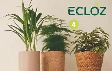ECLOZ Collection de plantes vertes