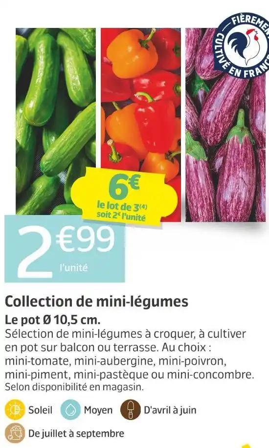 Collection de mini-légumes
