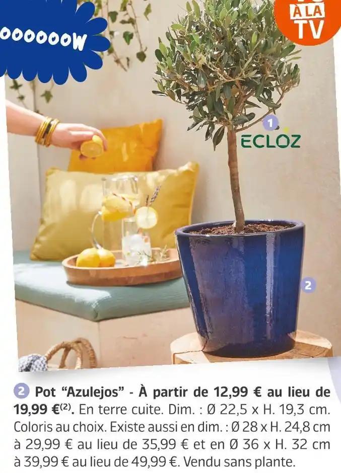 Pot “Azulejos”