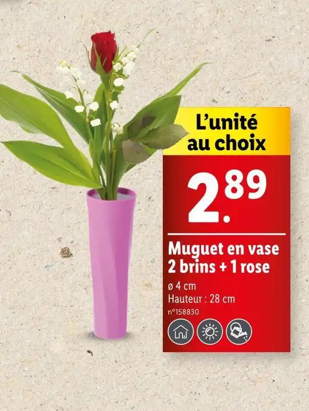 Muguet en vase