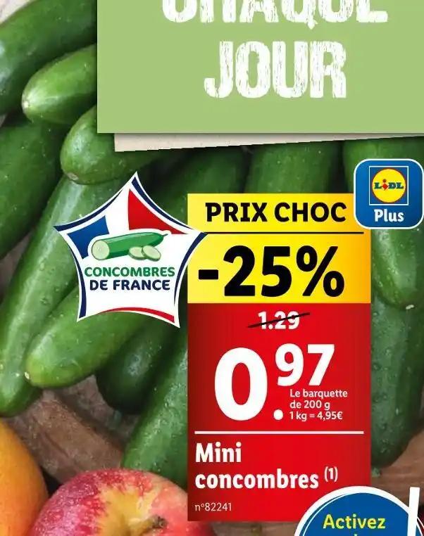 Mini concombres