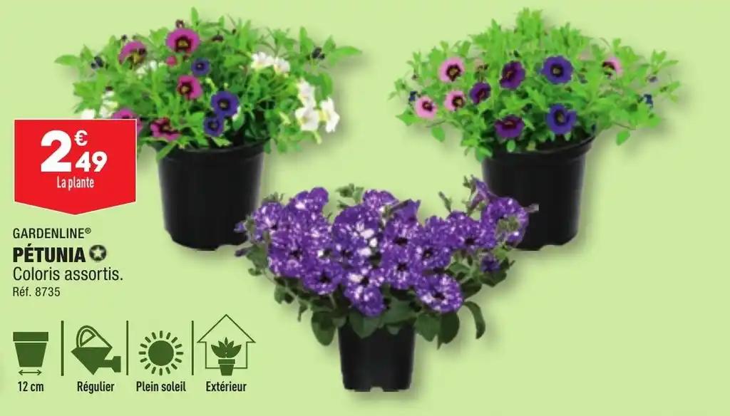 GARDENLINE® PÉTUNIA✪