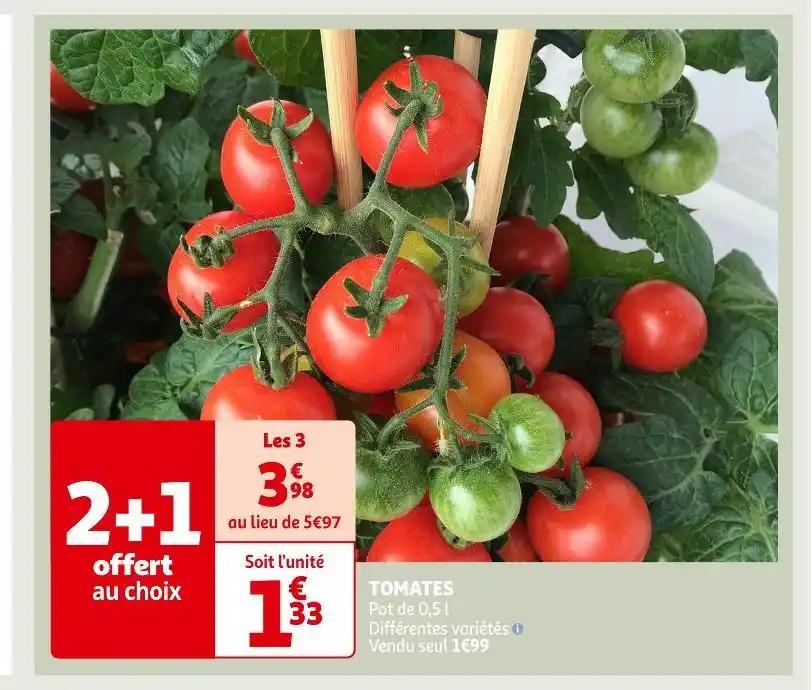 TOMATES