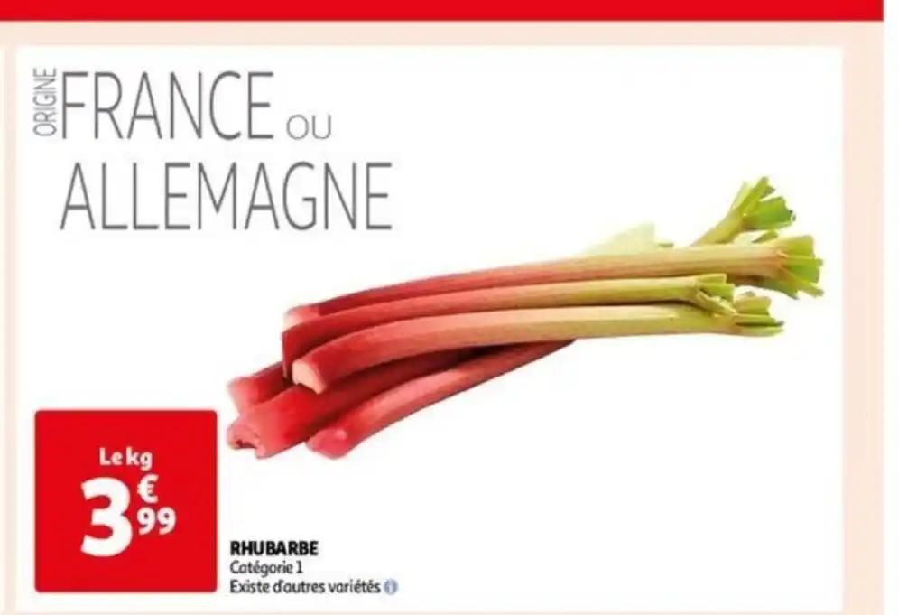 RHUBARBE