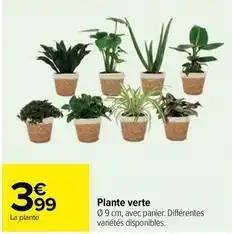 Plantes