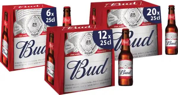 BUD SUR TOUT