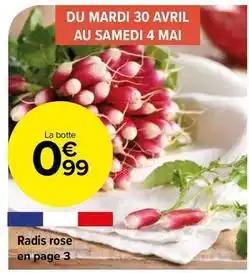 Radis rose