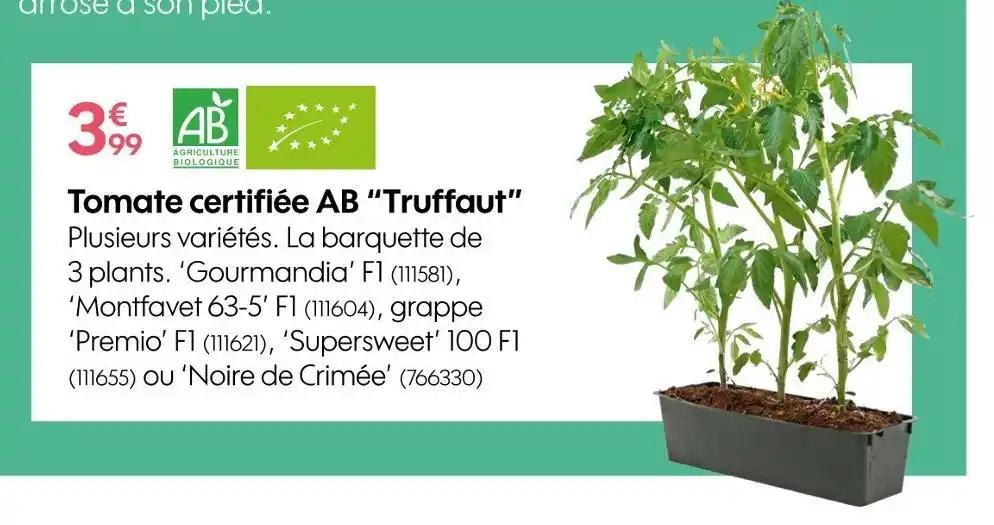 Truffaut Tomate certifiée AB
