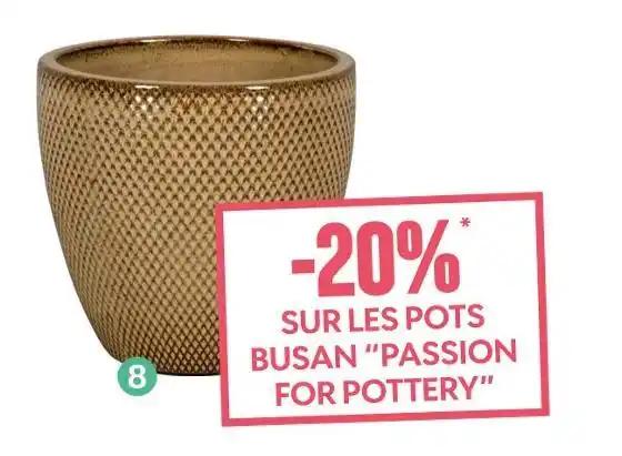 Pot Busan