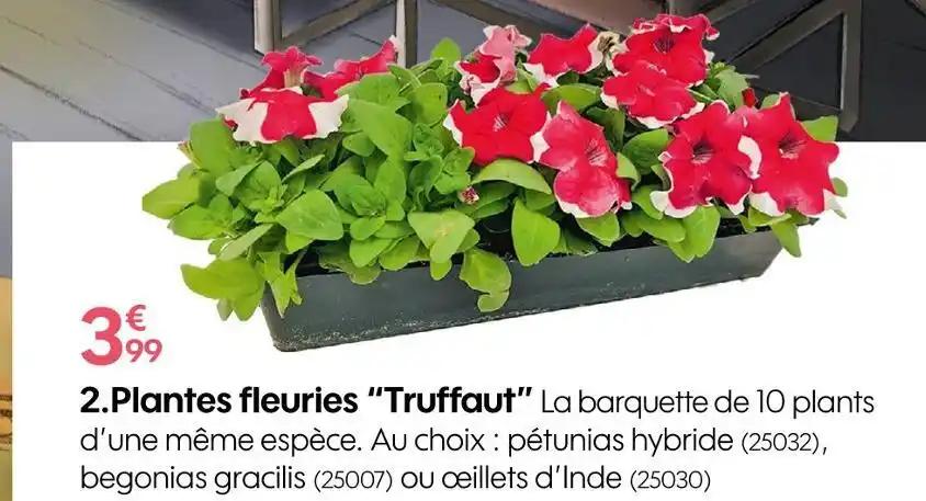 Truffaut Plantes fleuries
