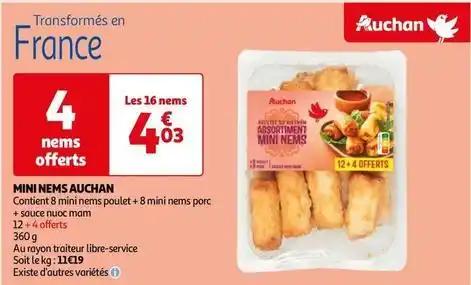 Auchan - mini nems